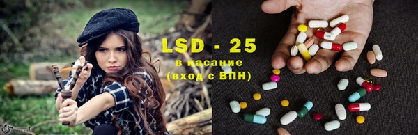 хмурый Алзамай